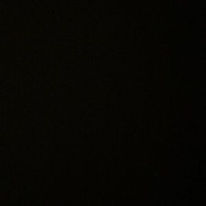 Meet your Posher, Ella